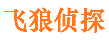 城西市侦探调查公司